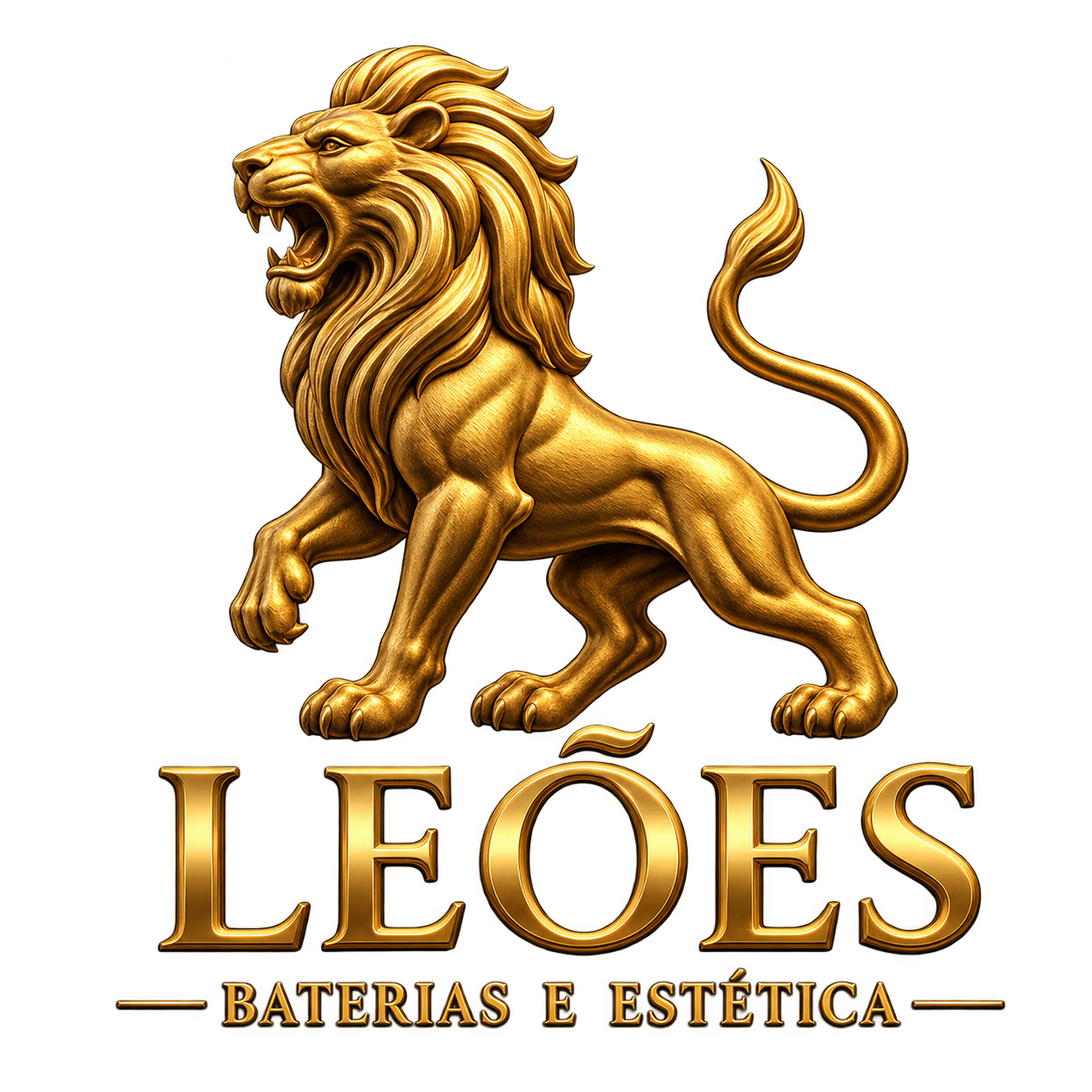 Leões Baterias e Estética